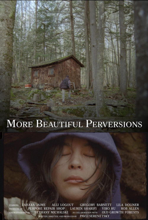 More Beautiful Perversions (2026) movie poster